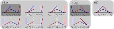 Bifurcation of solutions through a contact manifold in bidisperse models